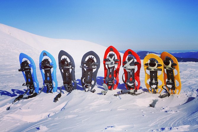 Snowshoeing Fun Tour from Cluj Napoca - The Guide Factor: Tudor and the Human Touch