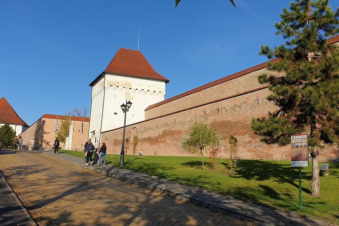 Targu Mures 3 hours walking tour - National Theatre to Cuza Voda Market, Where the Day Finds Its Rhythm