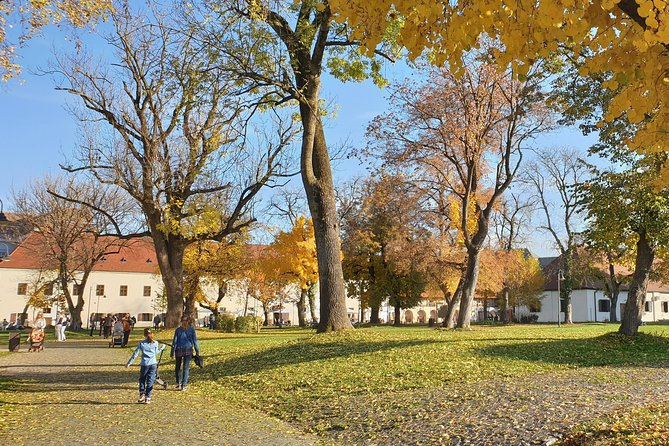 Targu Mures 3 hours walking tour - Mayor House and the Main Square’s Mixed Memories