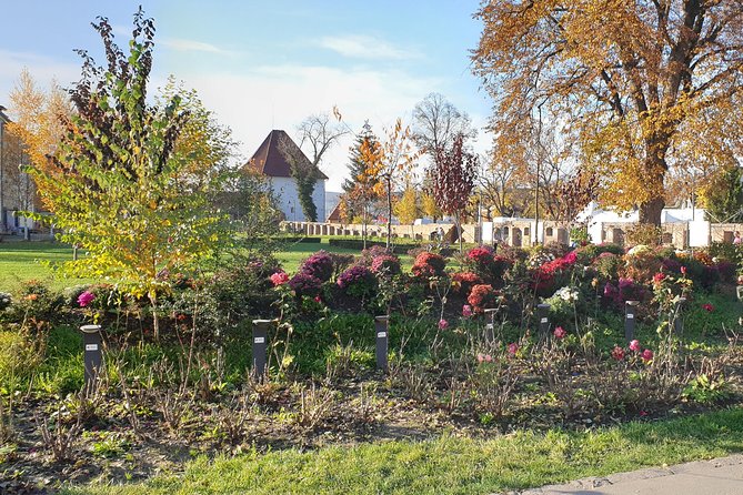 Targu Mures 3 hours walking tour - Teleki-Bolyai Library, Small Museum, Big Academic Story