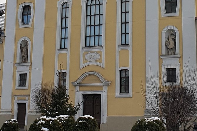 Targu Mures 3 hours walking tour - Palatul Culturii, Hungarian Art Nouveau and the 14 Lei Question