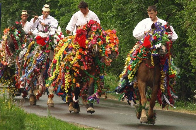 The Best of Maramures in One Day - Price and What You Really Get for $156.20