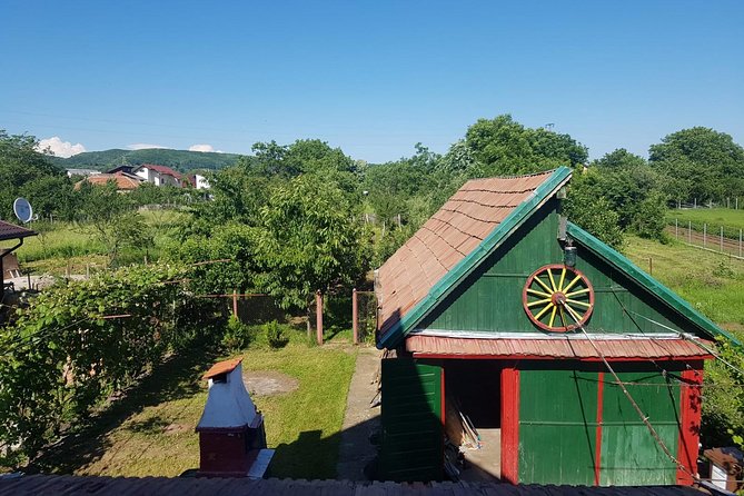 The Biggest Salt Mine in Europe and the Carpathian Authentic Villages - Price and value: what $179.41 covers, and what it does not