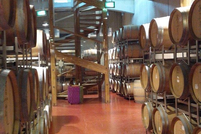 The Salt Mines, The Winery, The Muddy Volcanoes! The Fixers Private Tour - LacertA Winery in Buzau County: A Countryside Break and a Taste-First Approach
