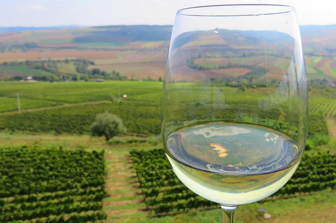 The wine route by bike - Key highlights