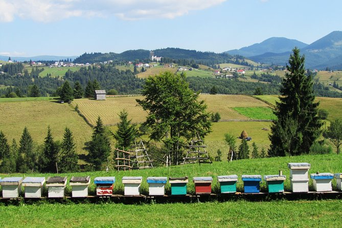 The wine route by bike - Crama Serve Ceptura: the French connection and another tasting window