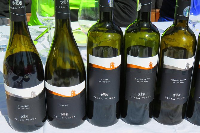 The wine route by bike - Bikes, pacing, and how the guides handle different rider levels