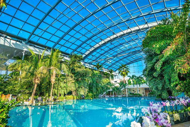 Therme Bucuresti: Entry Ticket and Transfer - Therme Bucuresti, Galaxy, and The Palm: what your half-day is really like