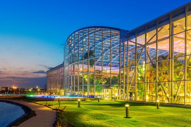 Therme-entrance ticket and transfer pick-up/drop-off Bucharest - The Palm Area: Steam, Sunbathing, and a Softer Pace