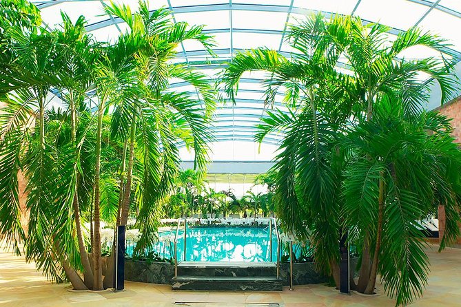 Therme Spa Ultimate Experience | Transfer - Full Access All Areas - How the Transfer Option Keeps Bucharest Logistics Simple