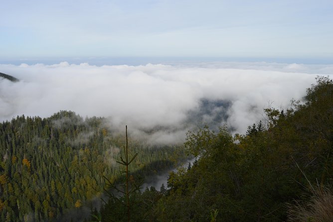 Transfagarasan, Vidraru and Poenari Fortress Tour from Sibiu - Price and value: what $173.52 gets you in real terms