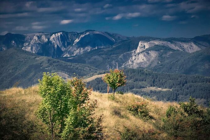 Transfer Bucharest -Brasov with Targoviste and Bran Castle visits - Brașov old town with a private guide: the “connective tissue” stop