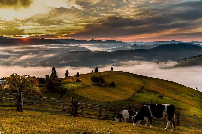 Transfer Bucharest -Brasov with Targoviste and Bran Castle visits - Price and value: is $190.81 per person worth it?