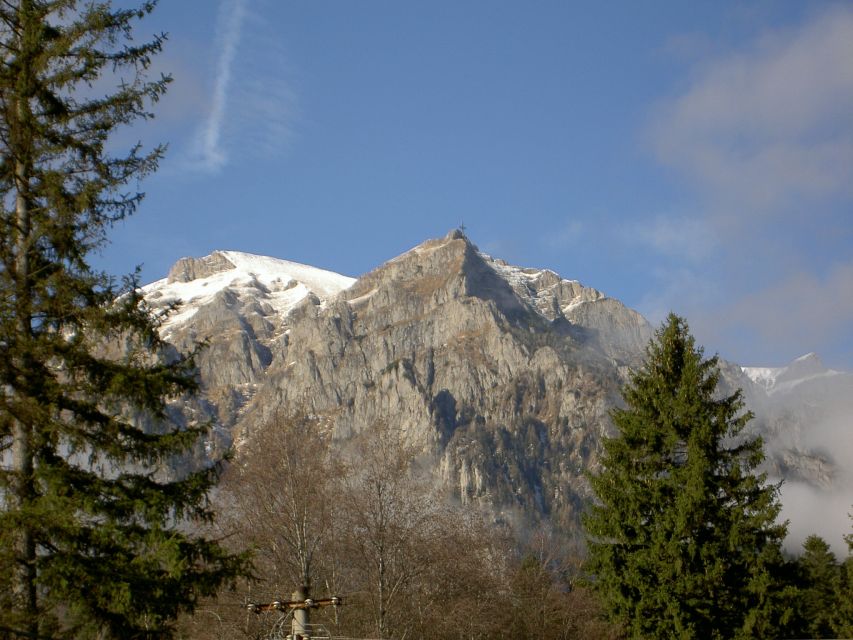Transylvania: Cultural Full-Day Trip by Minivan - Key highlights worth waking up for