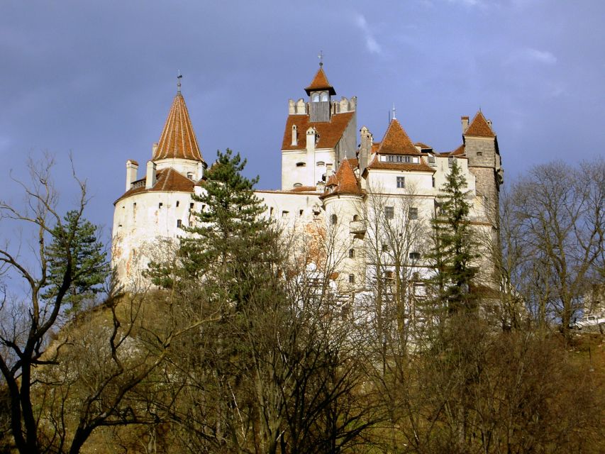 Transylvania: Cultural Full-Day Trip by Minivan - Brasov old town highlights: Council Square to the Black Church