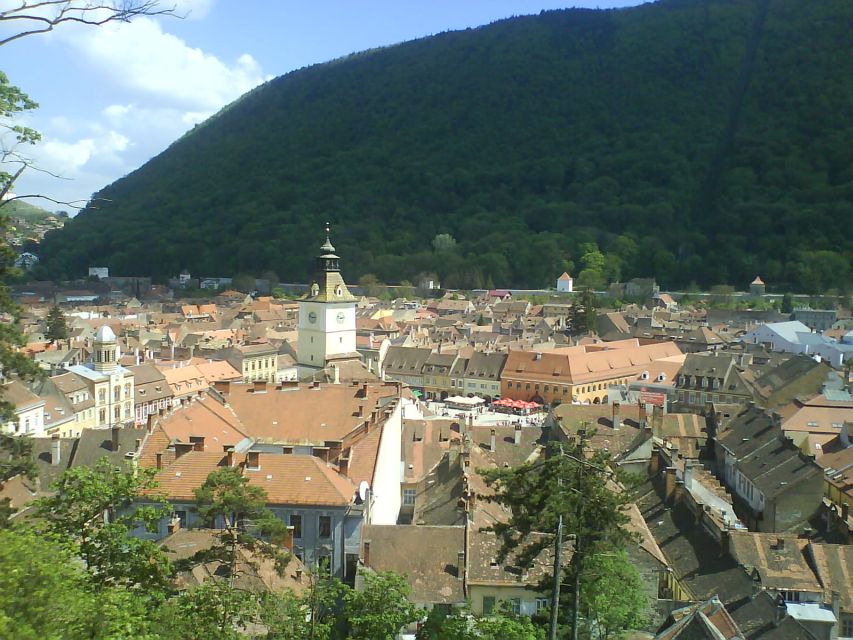 Transylvania: Cultural Full-Day Trip by Minivan - Guide impact, vehicle comfort, and why the best part is often the person
