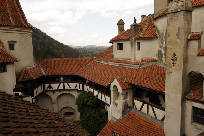 Transylvania with Dracula Castle, Bear Sanctuary and Brasov - Brasov Old Town Time: Rope Street, Sweets, and Lunch Freedom