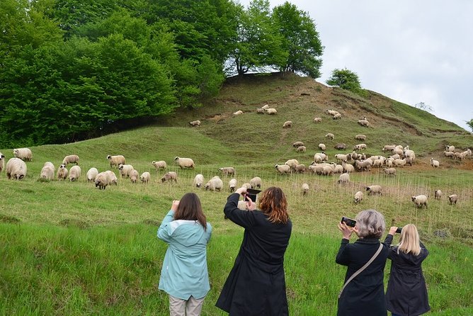Transylvanian week - Day 4: Saschiz and Viscri UNESCO churches, plus Prejmer’s Teutonic walls