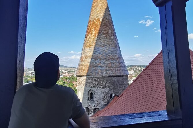 Turda Salt Mine, Corvin Castle and Alba Fortress from Cluj - Stop 3: Alba Iulia’s Alba Carolina Fortress, Vauban-Style Walls With National Meaning
