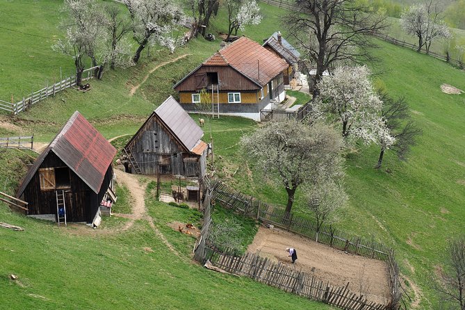 Village life in Transylvanian Carpathian mountains - 8 days - Key Points You Should Know Before You Go