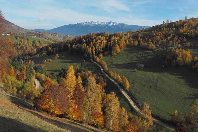Village life in Transylvanian Carpathian mountains - 8 days - Bran Castle Visit: Dracula’s Connection, Gothic Chambers, Real Timing