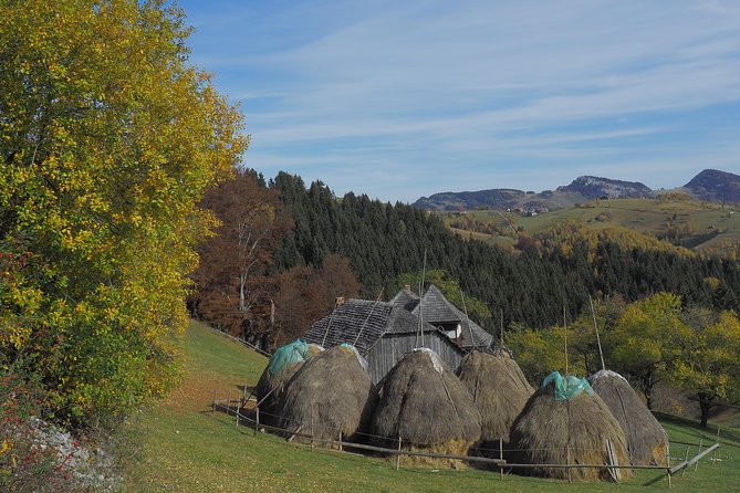 Village life in Transylvanian Carpathian mountains - 8 days - Day 2 Walking Toward Magura: The First Piatra Craiului Side Route