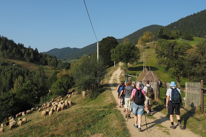 Village life in Transylvanian Carpathian mountains - 8 days - Piatra Craiului National Park Trek: Zarnesti Gorges to Curmatura Hut