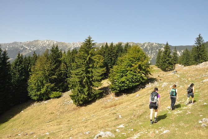 Village life in Transylvanian Carpathian mountains - 8 days - Village Hopping Through the Piatra Craiului and Bucegi Villages: Magura to Fundata