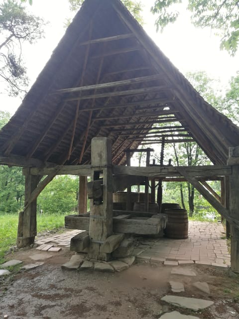 Village Museum Bucharest Guided Tour - Dimitrie Gusti Village Museum: rural Romania inside the city