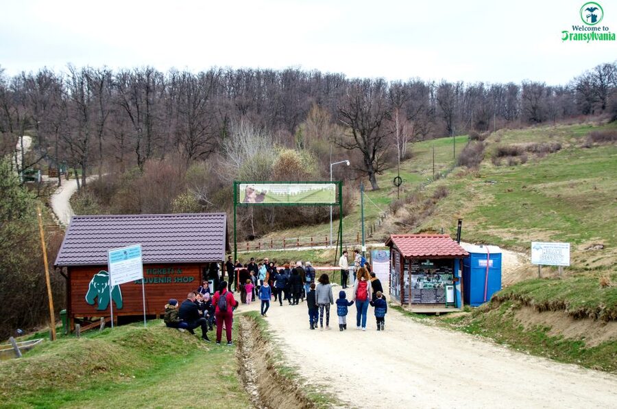 Visit Bear Sanctuary and Bran Castle from Brasov - Key highlights worth your attention