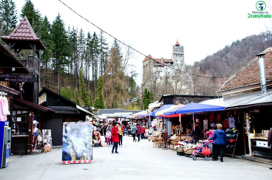 Visit Bear Sanctuary and Bran Castle from Brasov - Drive time to Bran: cozy car, real context