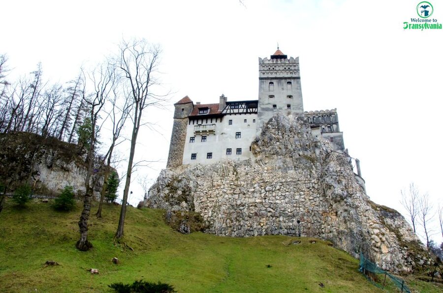 Visit Bear Sanctuary and Bran Castle from Brasov - Bran Castle with a guided tour that cuts through the crowds