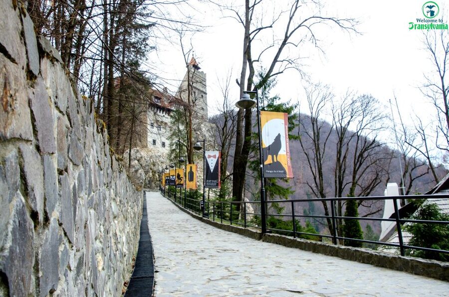 Visit Bear Sanctuary and Bran Castle from Brasov - FAQ