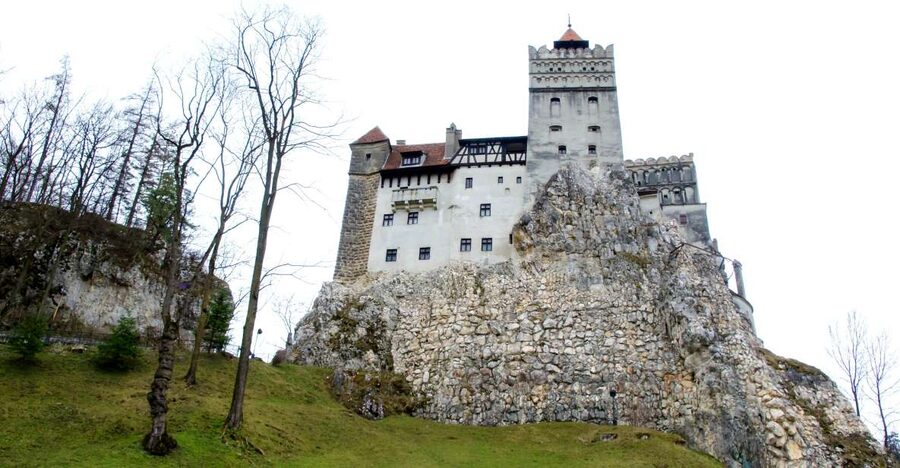 Visit Bear Sanctuary and Bran Castle from Brasov - First stop: LiBEARty Bear Sanctuary near Zărnești