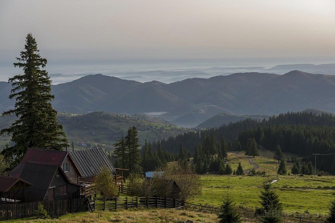 Vladeasa Peak and Bride's Waterfall Day Hike - Rogojel and the Sequoia stop, a quick culture-and-nature reset
